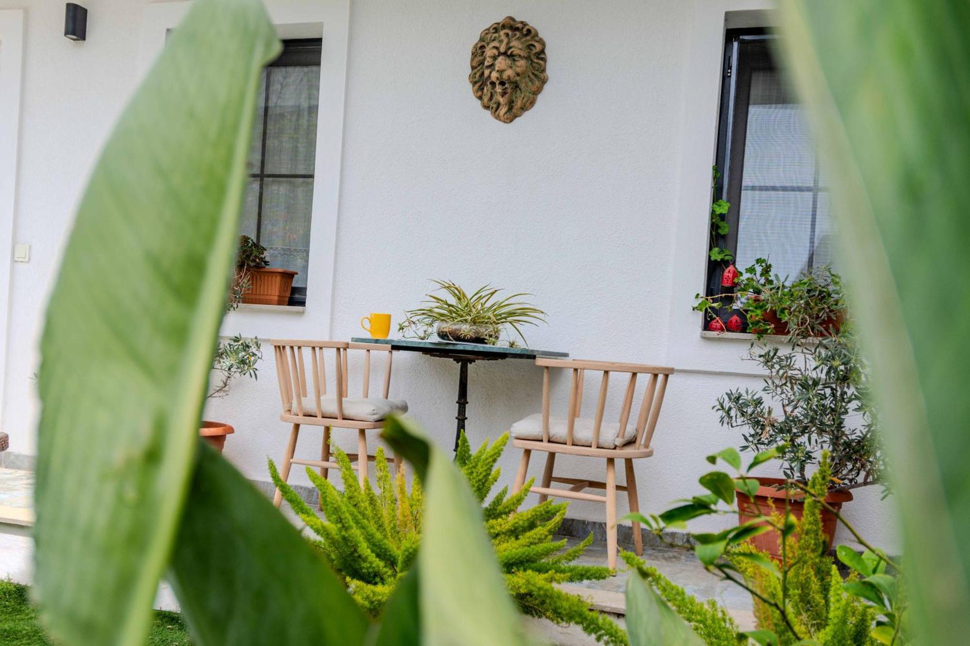 Arden'S House Bed and Breakfast Αλικαρνασσός Εξωτερικό φωτογραφία